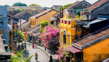 Rue pittoresque de Hoi An au Vietnam avec maisons jaunes coloniales et bougainvilliers roses en août